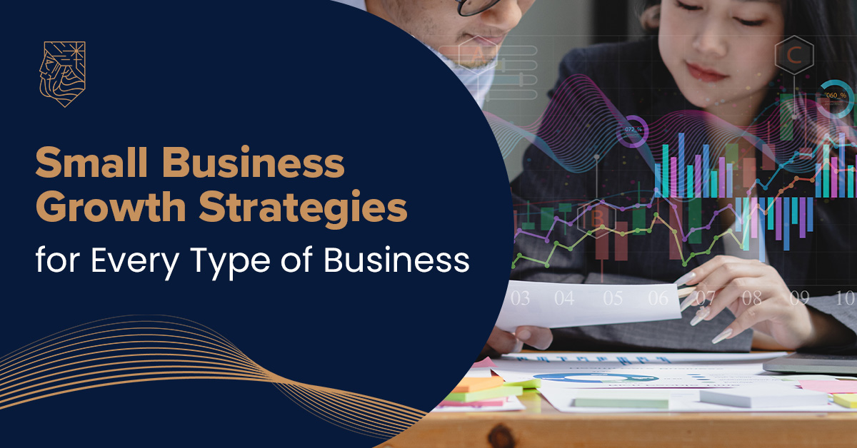 Small Business Growth Strategies for Every Type of Business - Zenith Capital